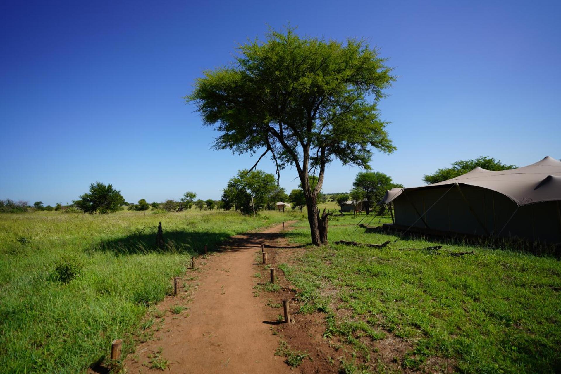 Anantya Serengeti Esterno foto
